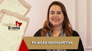 Explica Direito Filiação Socioafetiva  2019 [upl. by Russian]