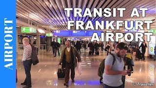 TRANSIT WALK AT FRANKFURT Airport FRA Terminal 1  Connection Flight Transfer Arriving amp Departing [upl. by Freya]